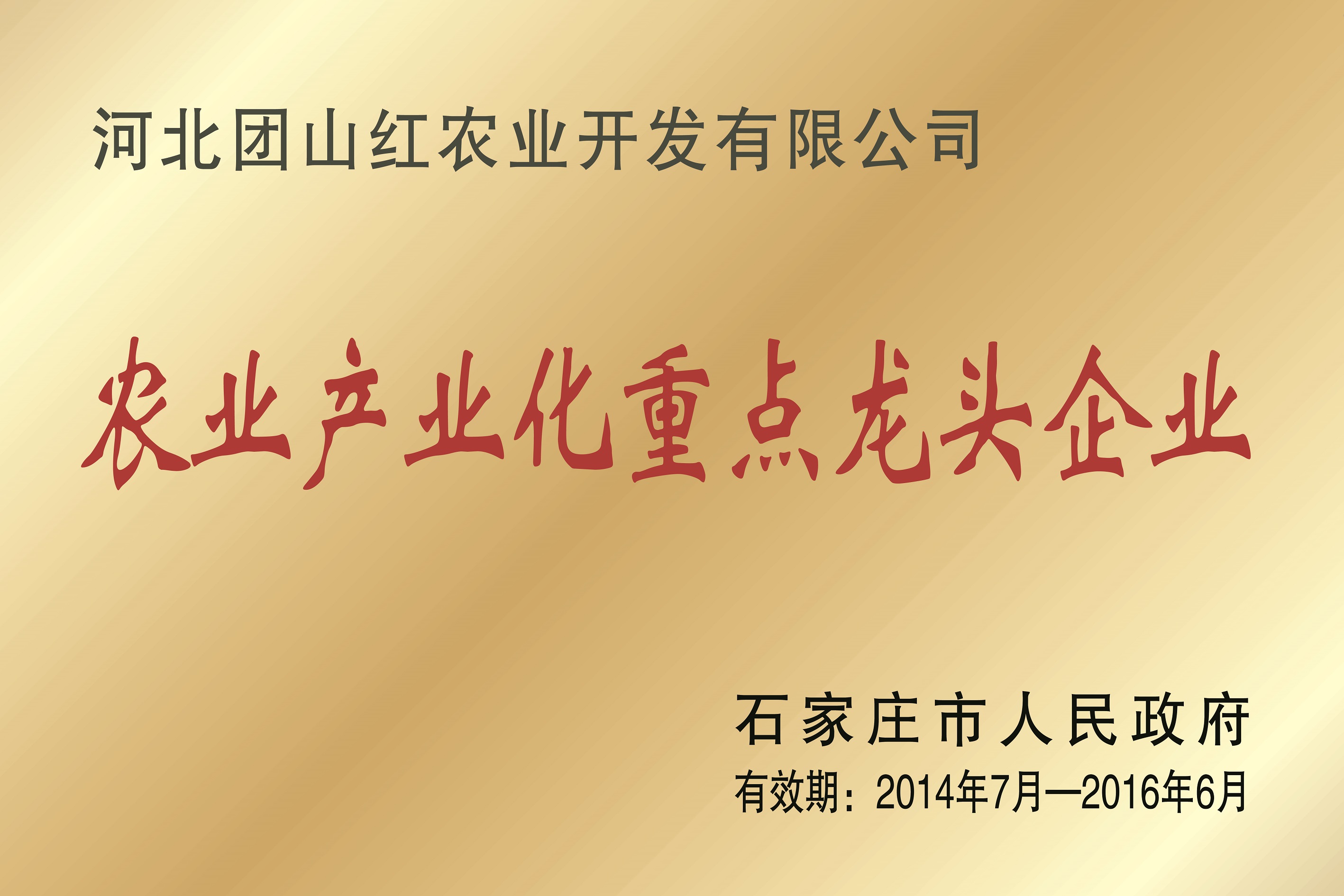农业产业化重点龙头企业